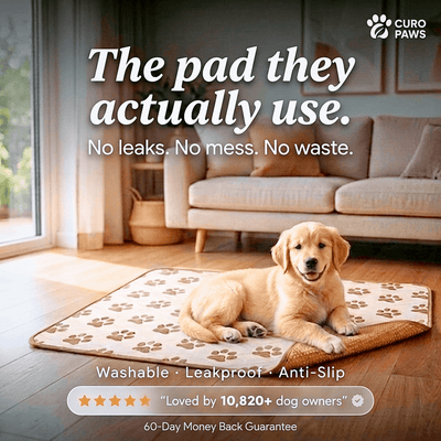 FreshPaw Washable Pet Pad