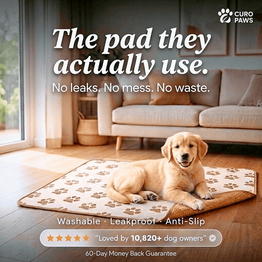 FreshPaw Washable Pet Pad